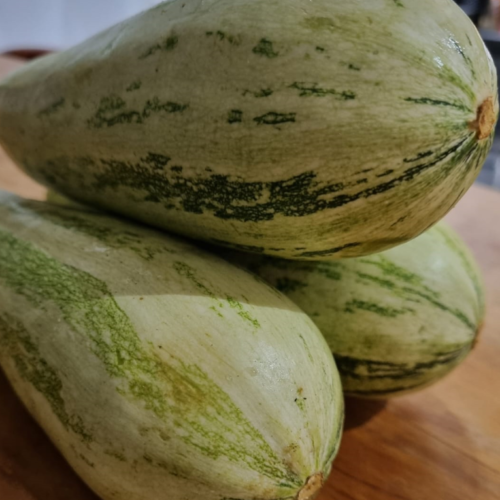 ABOBRINHA ITALIANA ORGÂNICA
