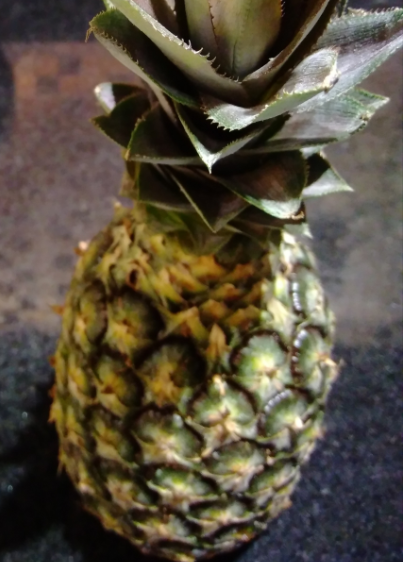 ABACAXI ORGÂNICO
