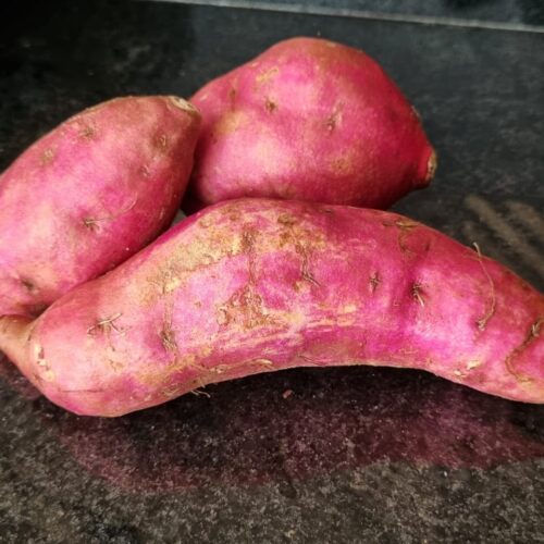 BATATA DOCE ORGÂNICA (comum)