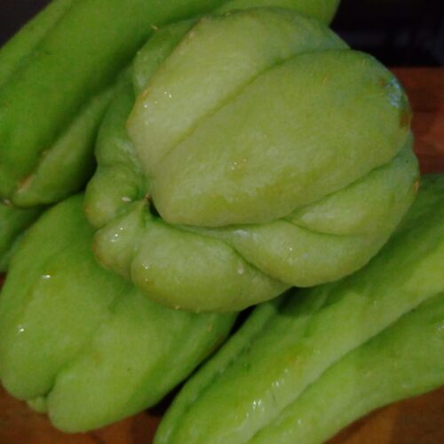CHUCHU ORGÂNICO