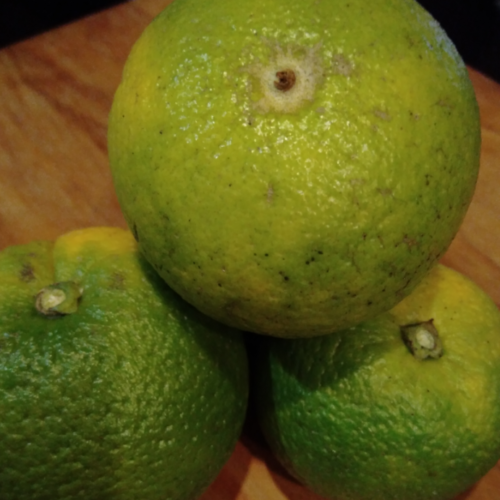 LARANJA PERA ORGÂNICA