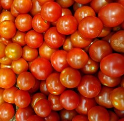 TOMATE CEREJA ORGÂNICO