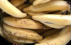 BANANA DA TERRA ORGÂNICA