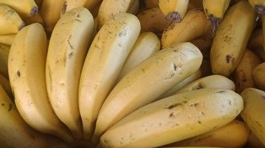 BANANA NANICA ORGÂNICA