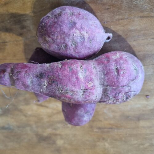 BATATA DOCE ROXA ORGÂNICA