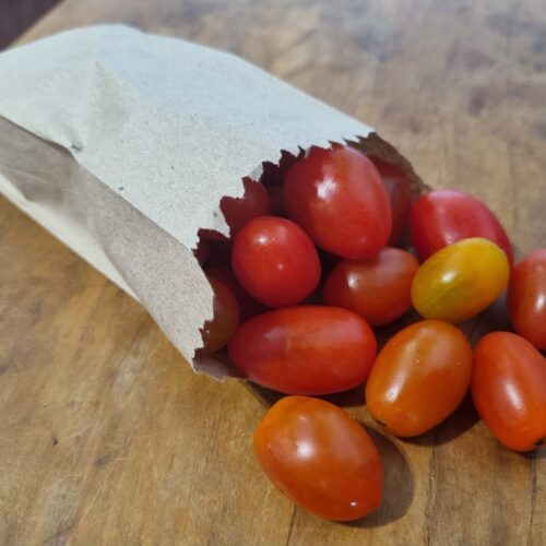 TOMATE GRAPE ORGÂNICO
