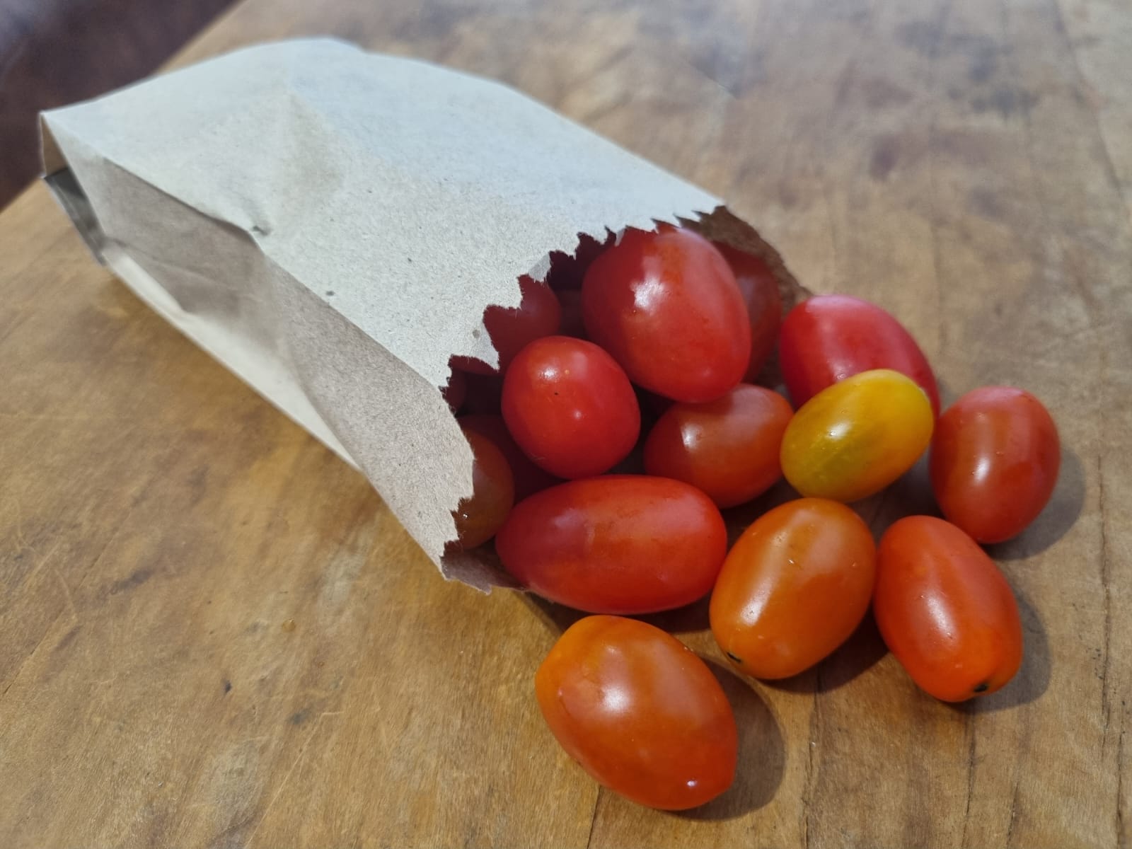 TOMATE GRAPE ORGÂNICO