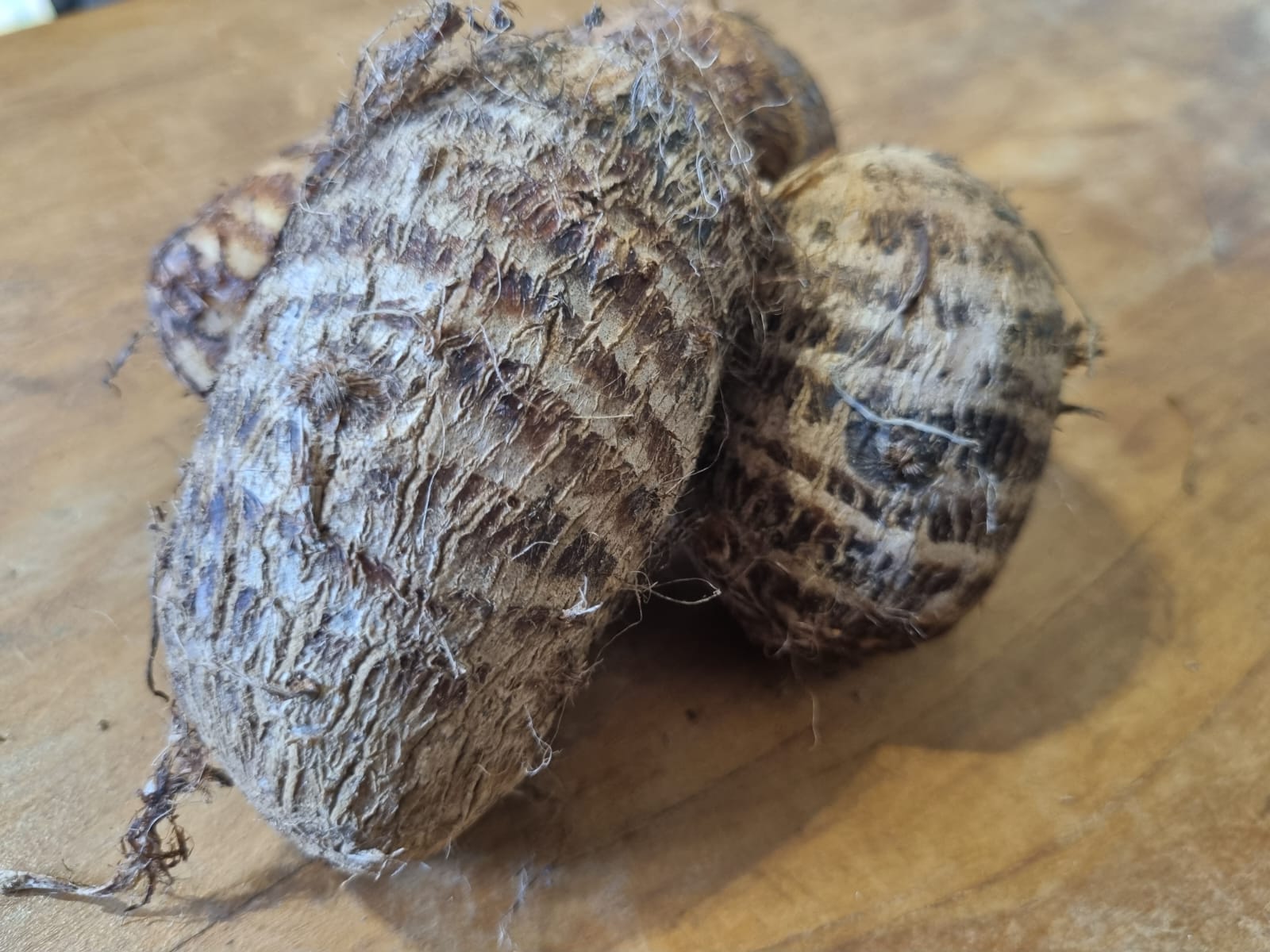 INHAME ORGÂNICO