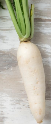 NABO ORGÂNICO