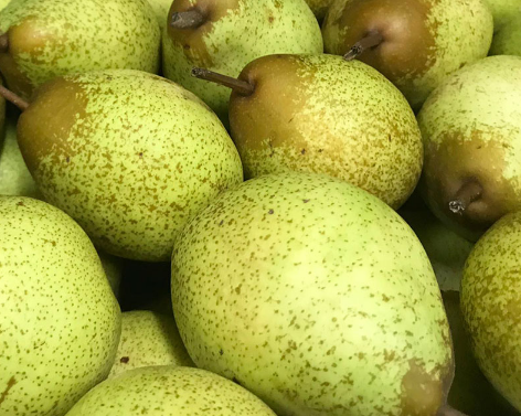 PERA ORGÂNICA