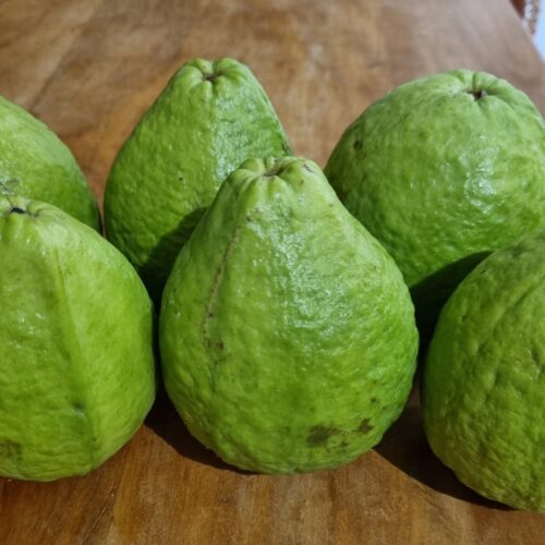 GOIABA ORGÂNICA