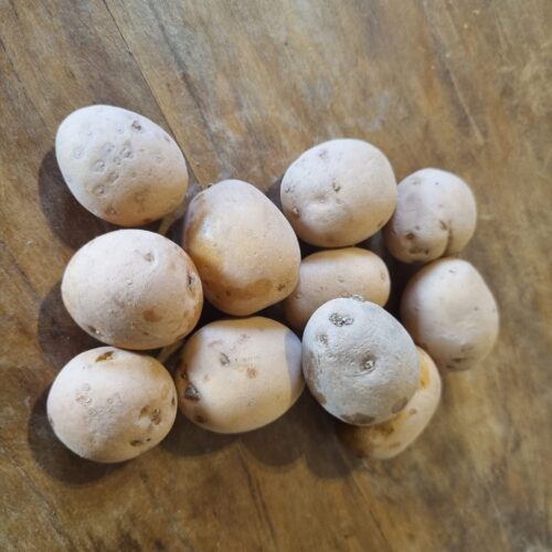 BATATA BOLINHA ORGÂNICA