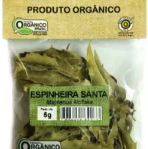 CHÁ ESPINHEIRA SANTA ORGÂNICA