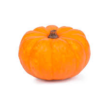 MINI MORANGA ORGÂNICA
