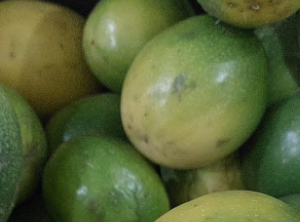 MARACUJÁ ORGÂNICO