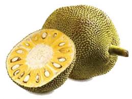 JACA ORGÂNICA – VERDE