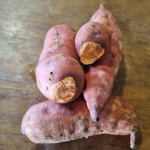 BATATA DOCE LARANJA ORGÂNICA